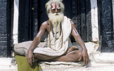 Zirbeldrüse das dritte Auge