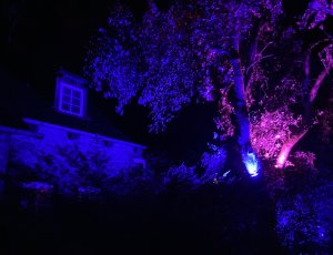 Vishnu Tantra Healing Festival